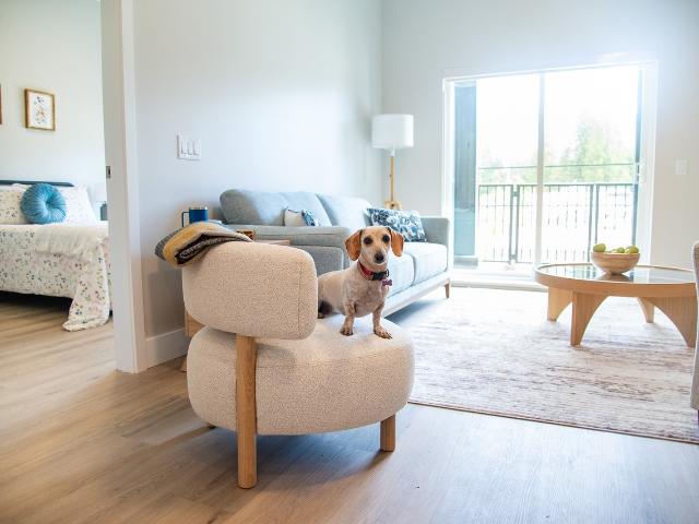 Apartment for rent in Sicamous, Columbia-Shuswap Regional District