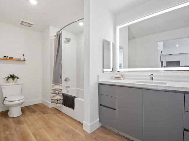 Apartment for rent in Bellflower