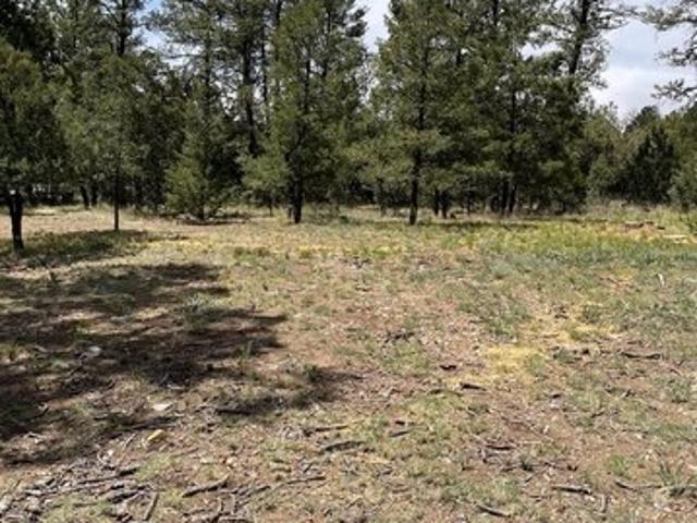 Land for sale in Timberon, New Mexico