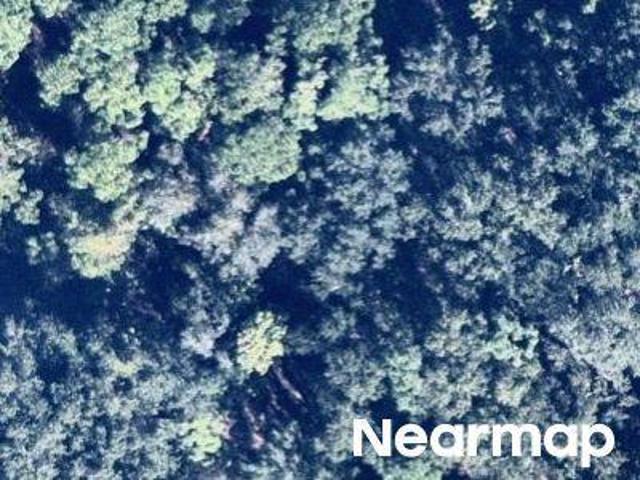 Land for sale in Florida