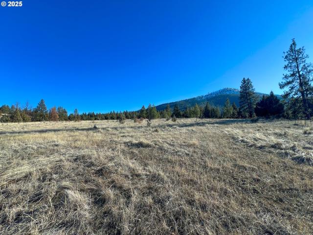 Land for sale in Canyon City
