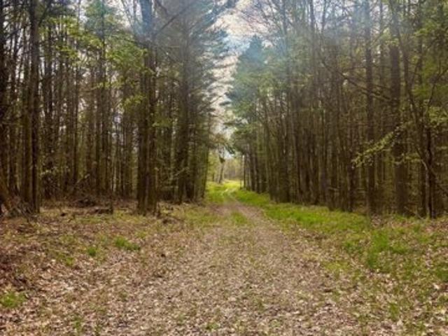 Land for sale in Cooksburg, Pennsylvania