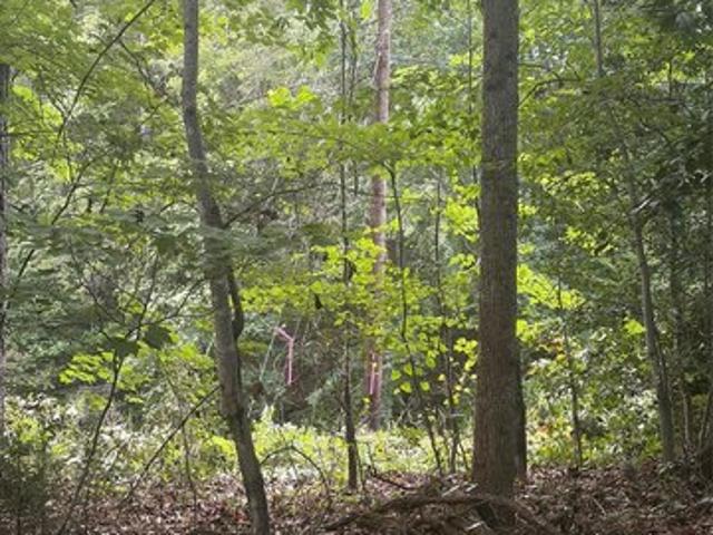 Land for sale in Wilkesboro, North Carolina