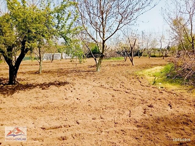 Karaağaç Mahallesi, Edirne Merkez içerisinde satılık Arsa