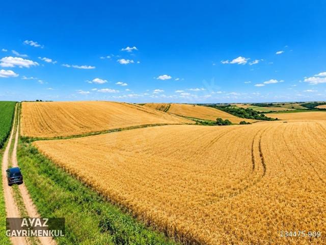 Uzunköprü, Edirne içerisinde satılık mülk