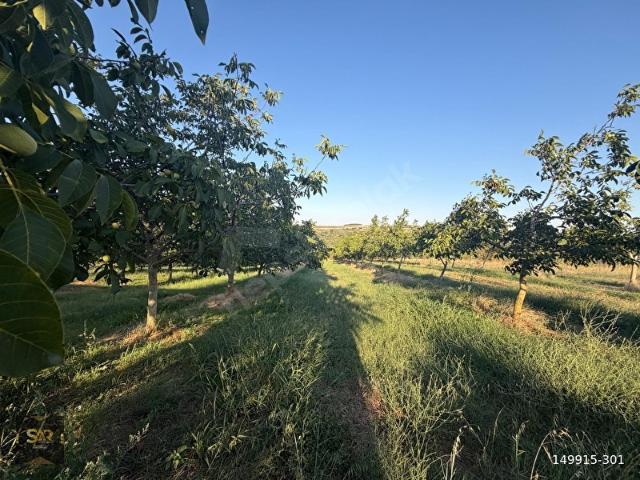 Hüseyinpınar, Lalapaşa içerisinde satılık mülk