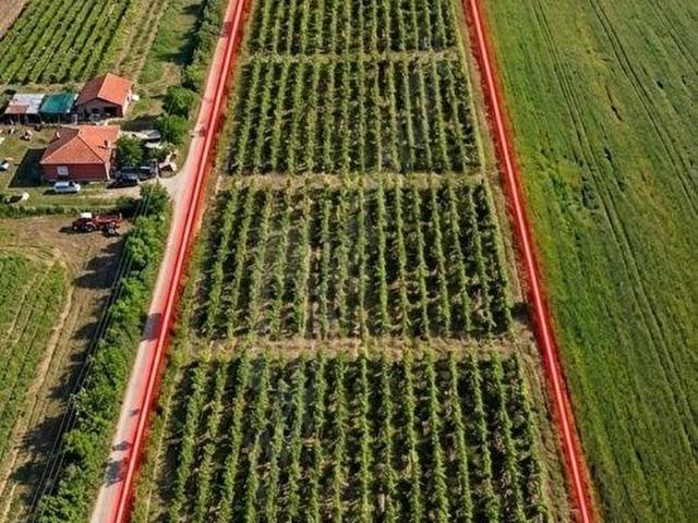 Hacıumur, Edirne Merkez içerisinde satılık mülk