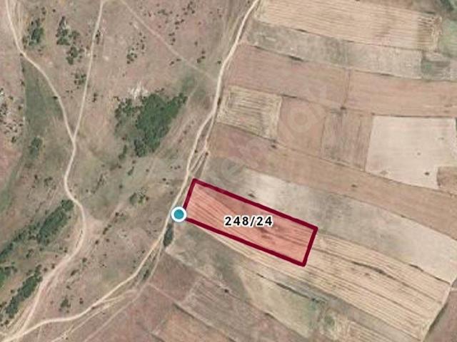 Süloğlu, Edirne içerisinde satılık Arsa