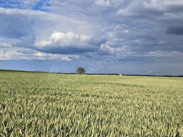 Süloğlu, Edirne içerisinde satılık Arsa