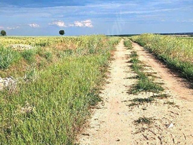 Tatarlar Köyü, Süloğlu içerisinde satılık Arsa