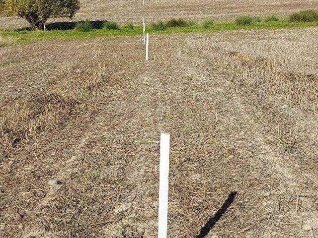 Uzunköprü, Edirne içerisinde satılık Arsa