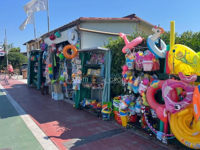 Locale Commerciale in vendita a Vittoria Apuana, Forte Dei Marmi