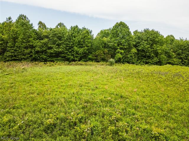 Land for sale in Ohio