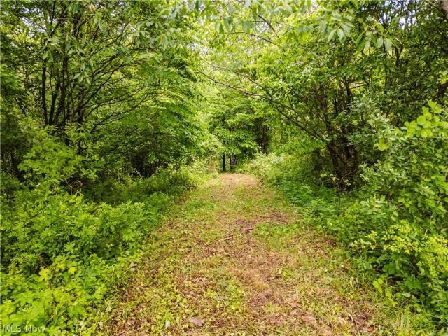 Land for sale in Ohio