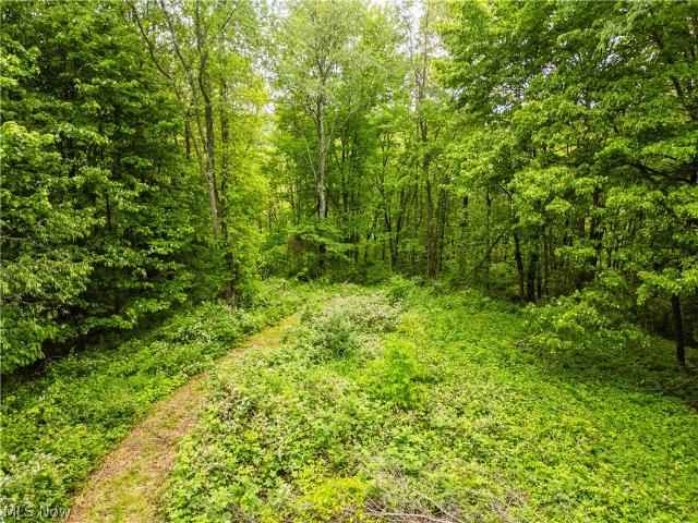 Land for sale in Ohio
