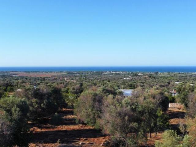 Terreno in vendita a Puglia, Brindisi