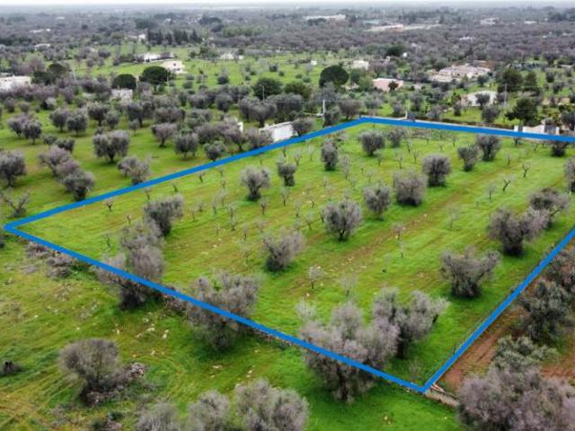 Terreno in vendita a Puglia, Brindisi