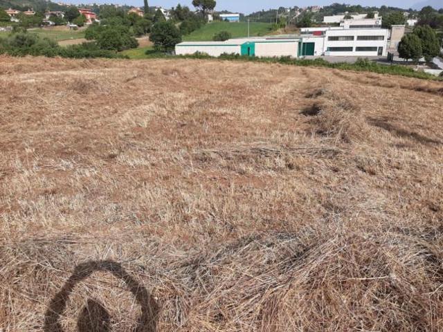 Terreno in vendita a Paliano, Lazio