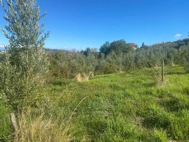 Terreno in vendita a Calabria, Cosenza