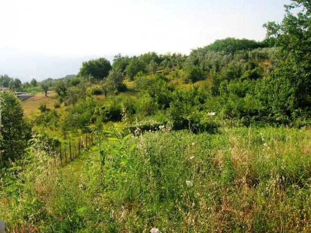 Terreno in vendita a Cervaro, Lazio