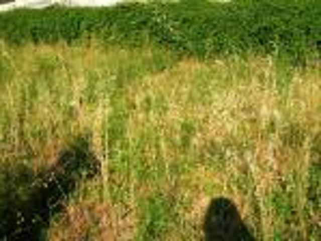Terreno in vendita a Cervaro, Lazio