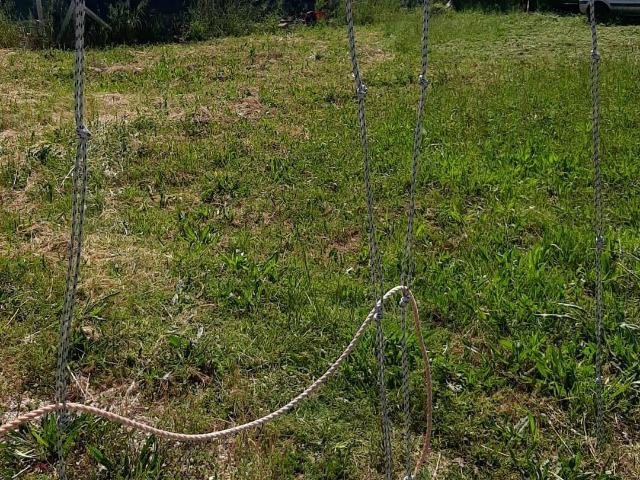 Terreno in vendita a Mosciano Sant'angelo, Abruzzo