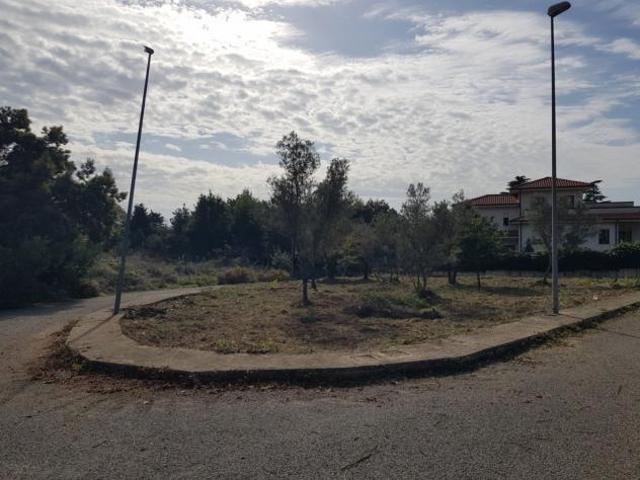 Terreno in vendita a Calabria, Catanzaro
