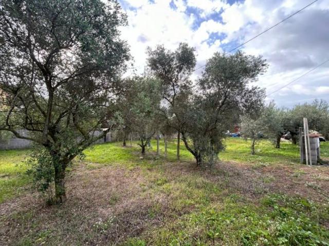 Terreno in vendita a Roma Capitale, Lazio