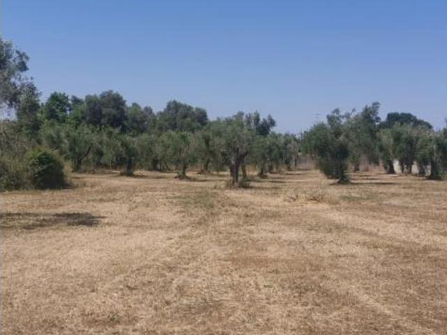 Terreno in vendita a Roma Capitale, Lazio
