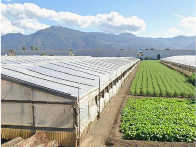 Terreno in vendita a Scafati, Campania