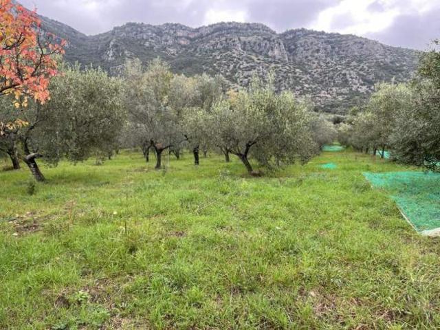Terreno in vendita a Giungano, Campania