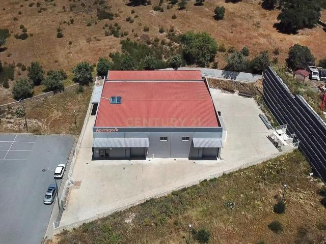 Loja venda em Almodôvar, Beja