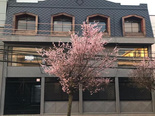 EDIFICIO COMPLETO/3 PLANTAS Temuco