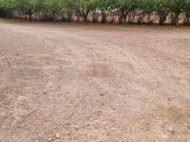 Oficina en venta en La Alcanara y Los Bucanos, Alto Guadalentín