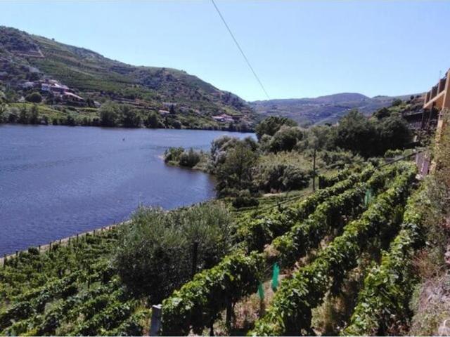 Vivenda venda em Peso Da Régua, Vila Real