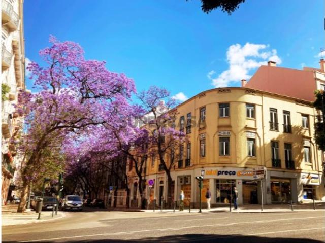 Prédio venda em Santo António, Lisboa