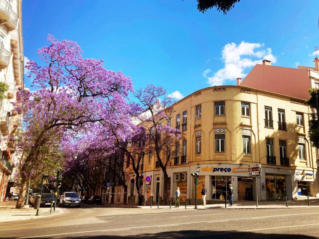 Prédio venda em Santo António, Lisboa