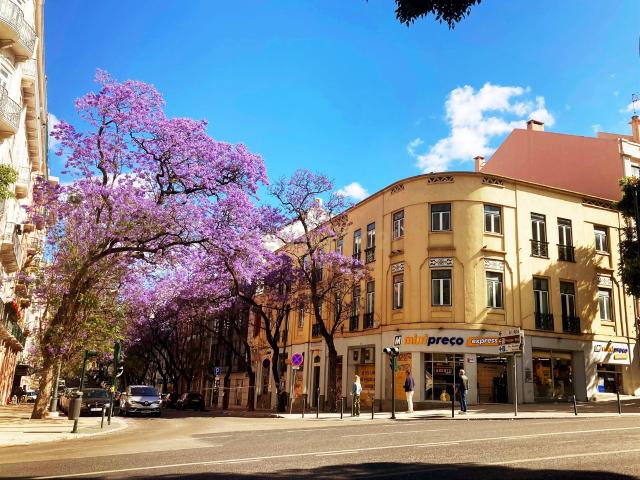 Prédio venda em Santo António, Lisboa