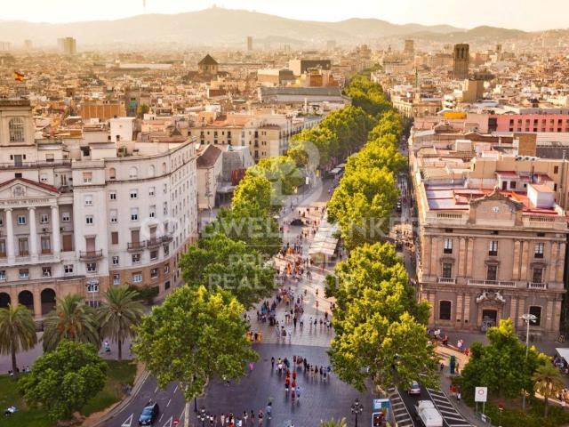 Oficina en venta en Barcelona, el Gòtic