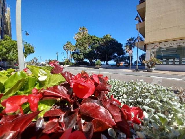 Oficina en venta en Estepona, Balcones del Mar