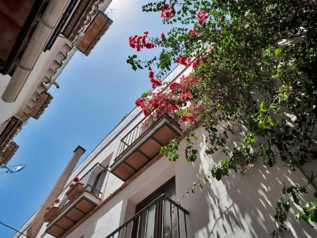 Oficina en venta en Centro, Costa del Sol Occidental
