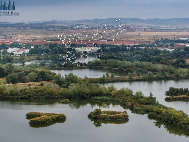 Oficina en venta en Velilla De San Antonio