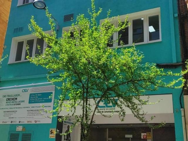 Oficina en alquiler en Barcelona, la Bordeta