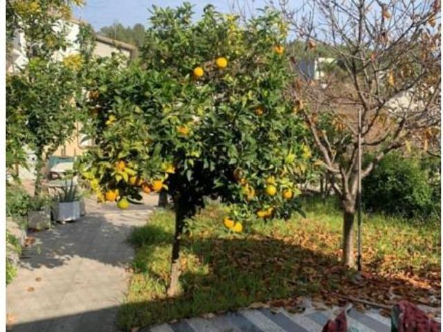 Oficina en venta en Castelldefels, Can Roca