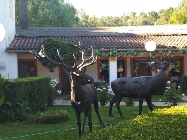Casa en venta en Fuencaliente, Castilla-La Mancha