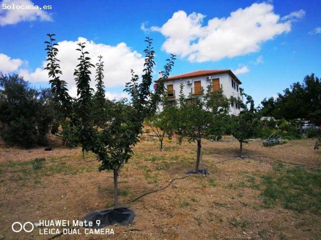 Oficina en venta en Comarca de Loja, Andalucía