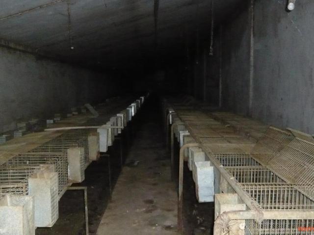 Oficina en venta en Bajo Aragón-Caspe / Baix Aragó-Casp, Aragón