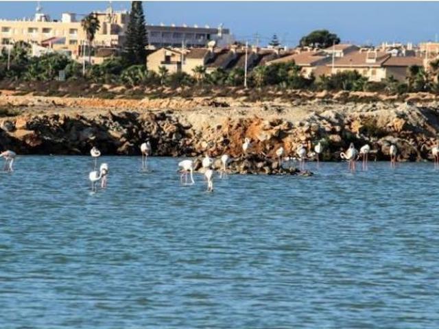 Oficina en venta en El Algar, Campo de Cartagena y Mar Menor