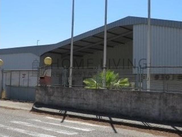 Armazém venda em Salvaterra De Magos, Santarém