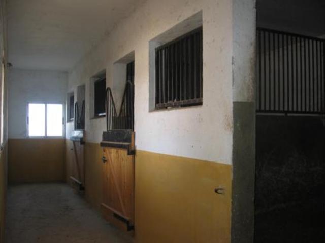 Oficina en venta en Baza, Granada